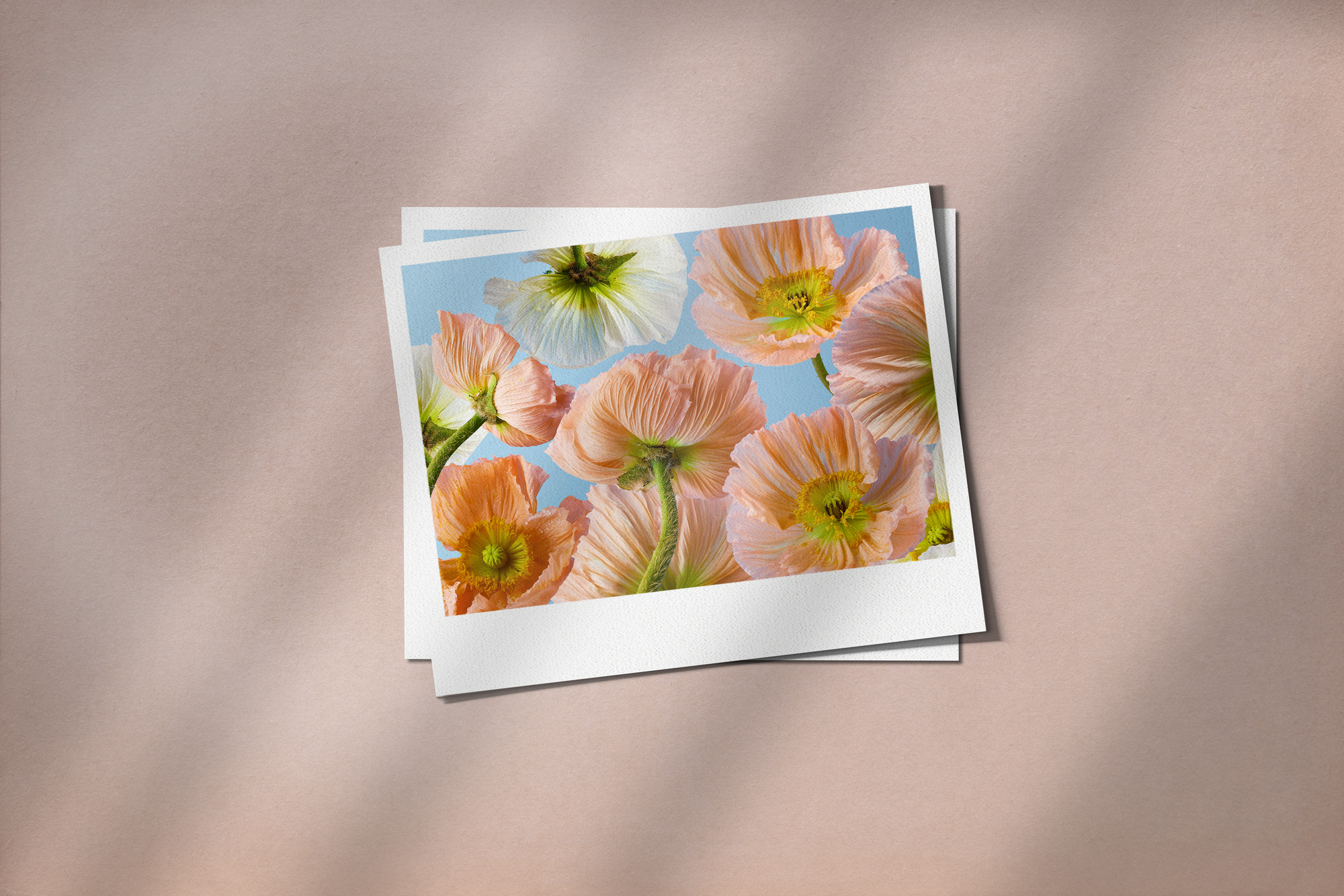 Polaroid Photos Mockups