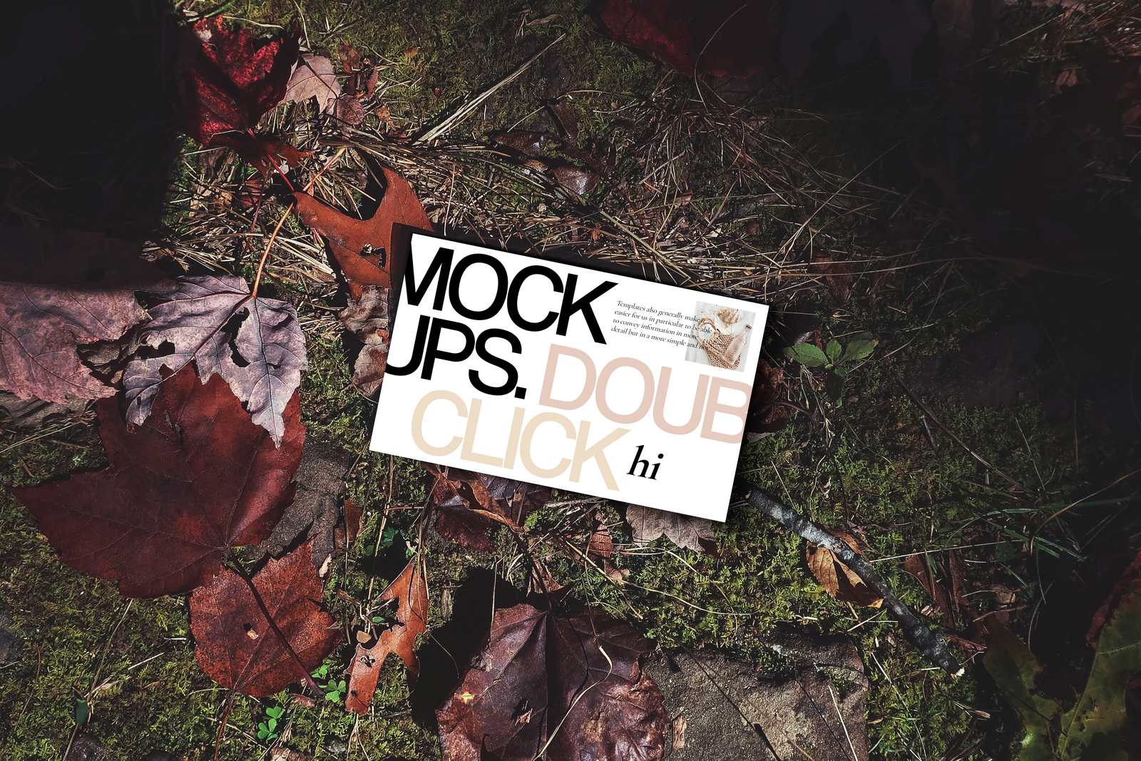 Name Card Mockups post image