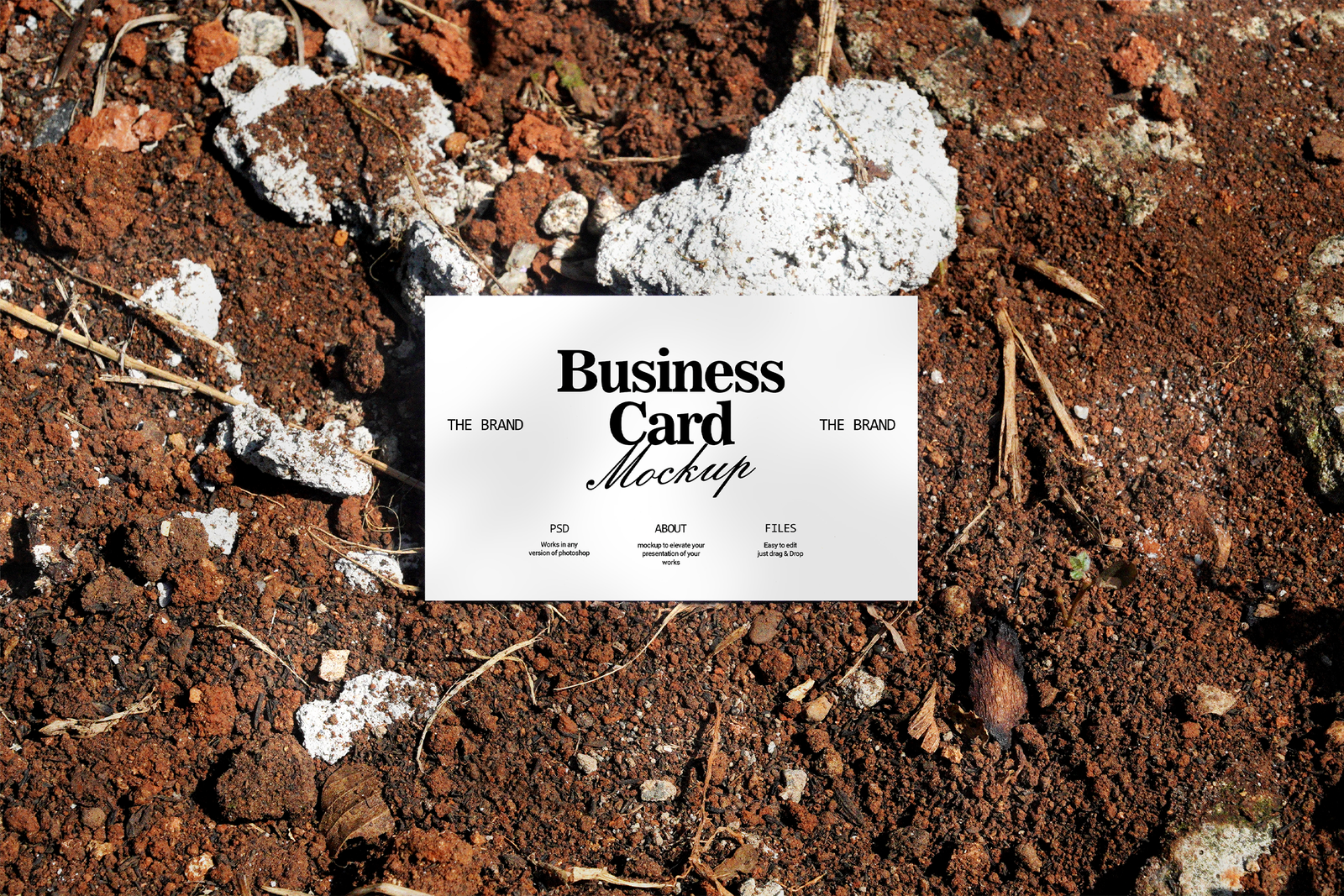 Name Card Mockups post image