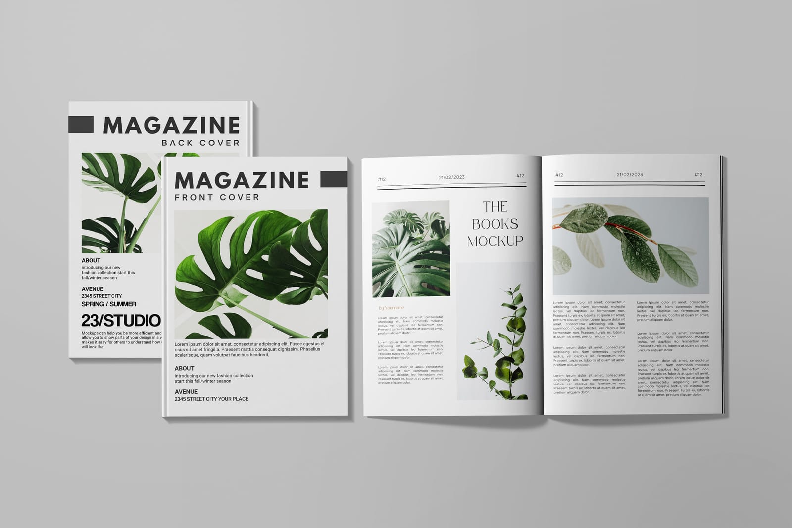 Magazine Mockups post image