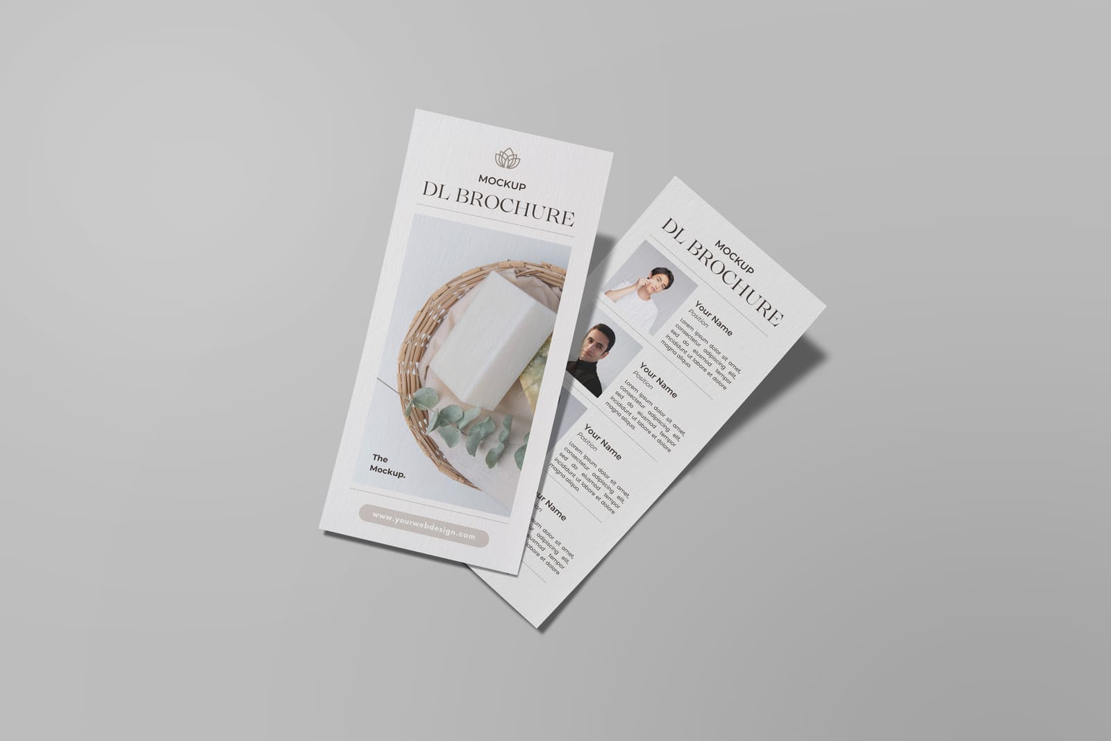 DL Flyer Mockups post image