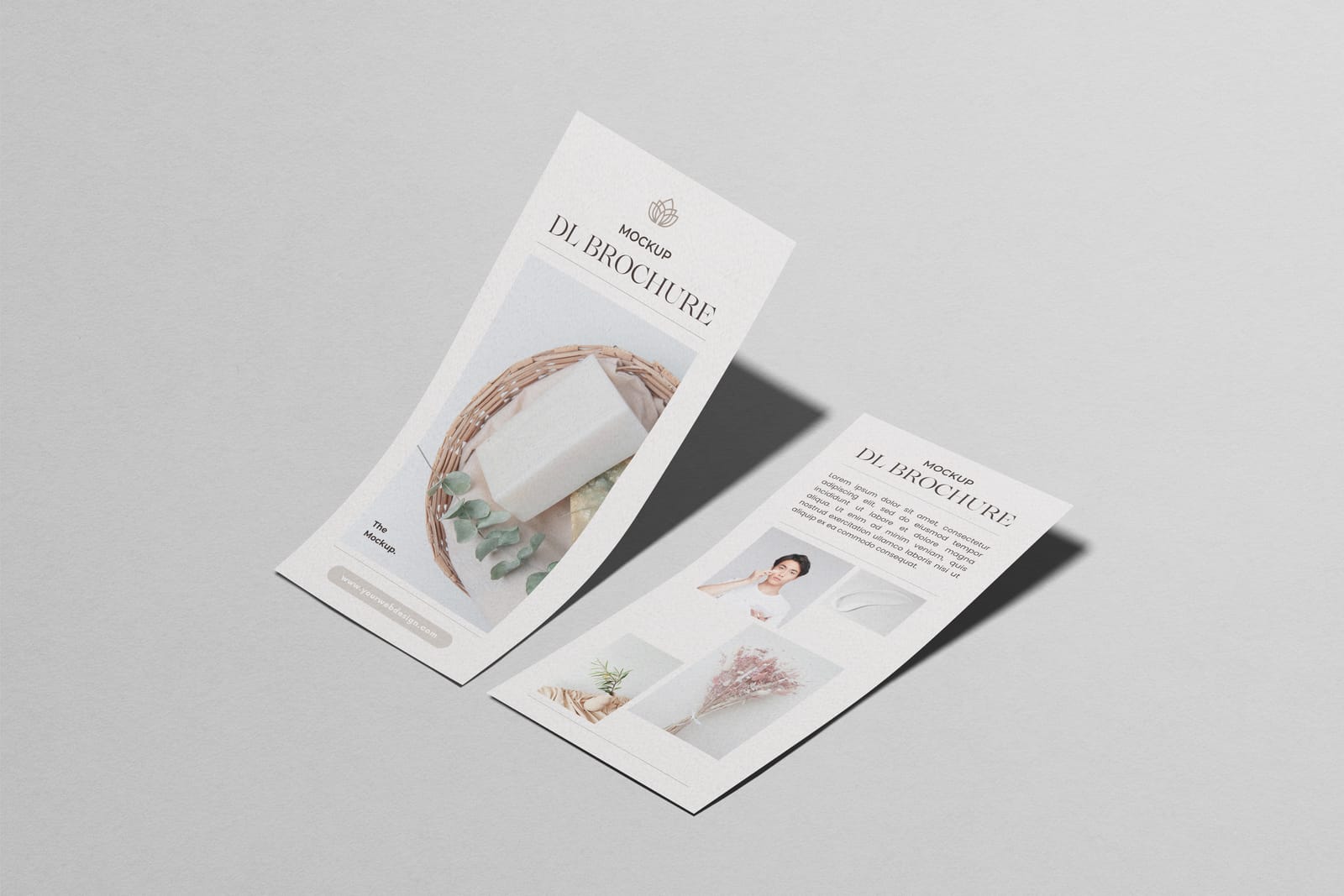 DL Flyer Set Mockups post image